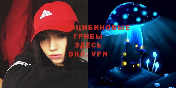 мдпв Белокуриха