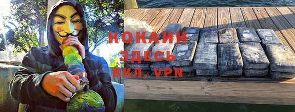 мдпв Белокуриха