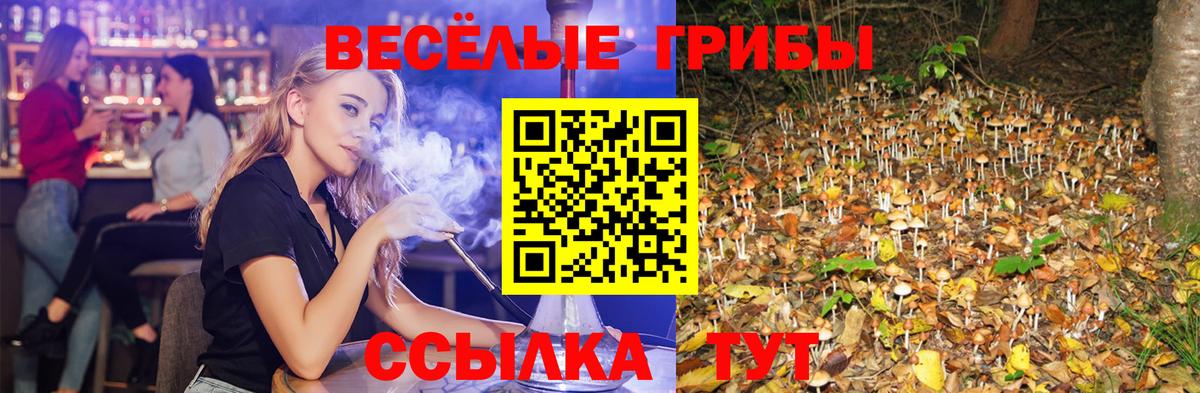 Галлюциногенные грибы мицелий Гай