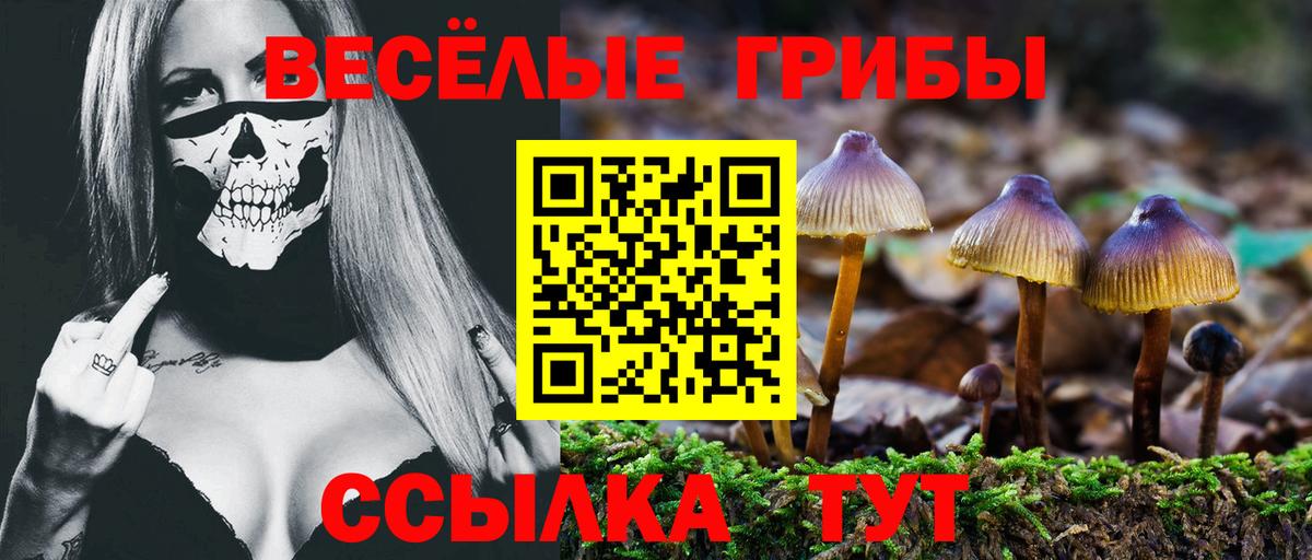Галлюциногенные грибы Magic Shrooms  Вход с VPN  Гай  Галлюциногенные грибы Psilocybine cubensis 